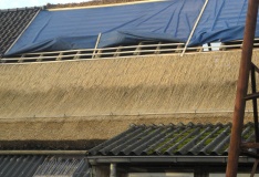 Vernieuwen rieten dak